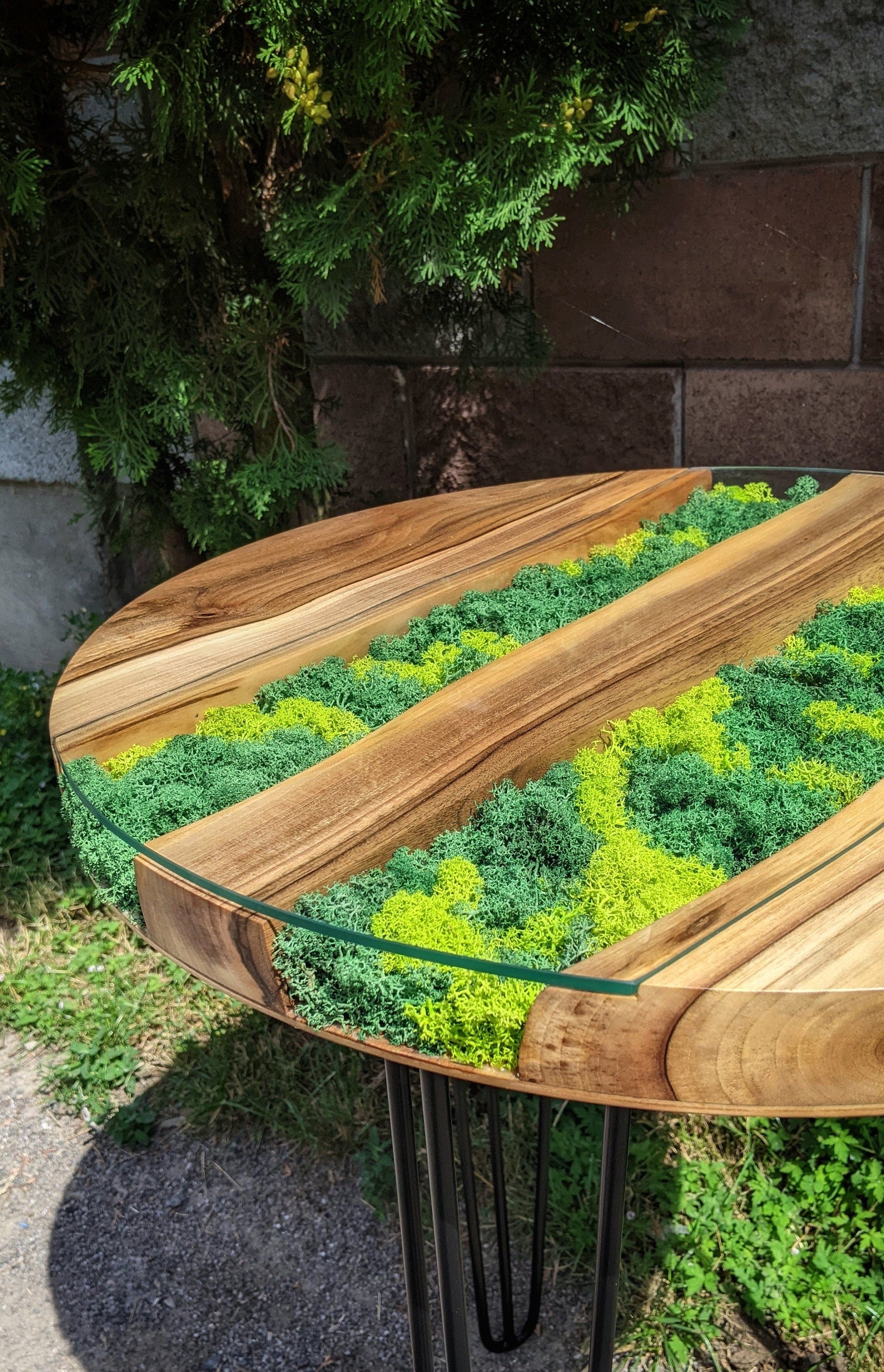 Walnut Coffee Table: Round Scandinavian Moss Table