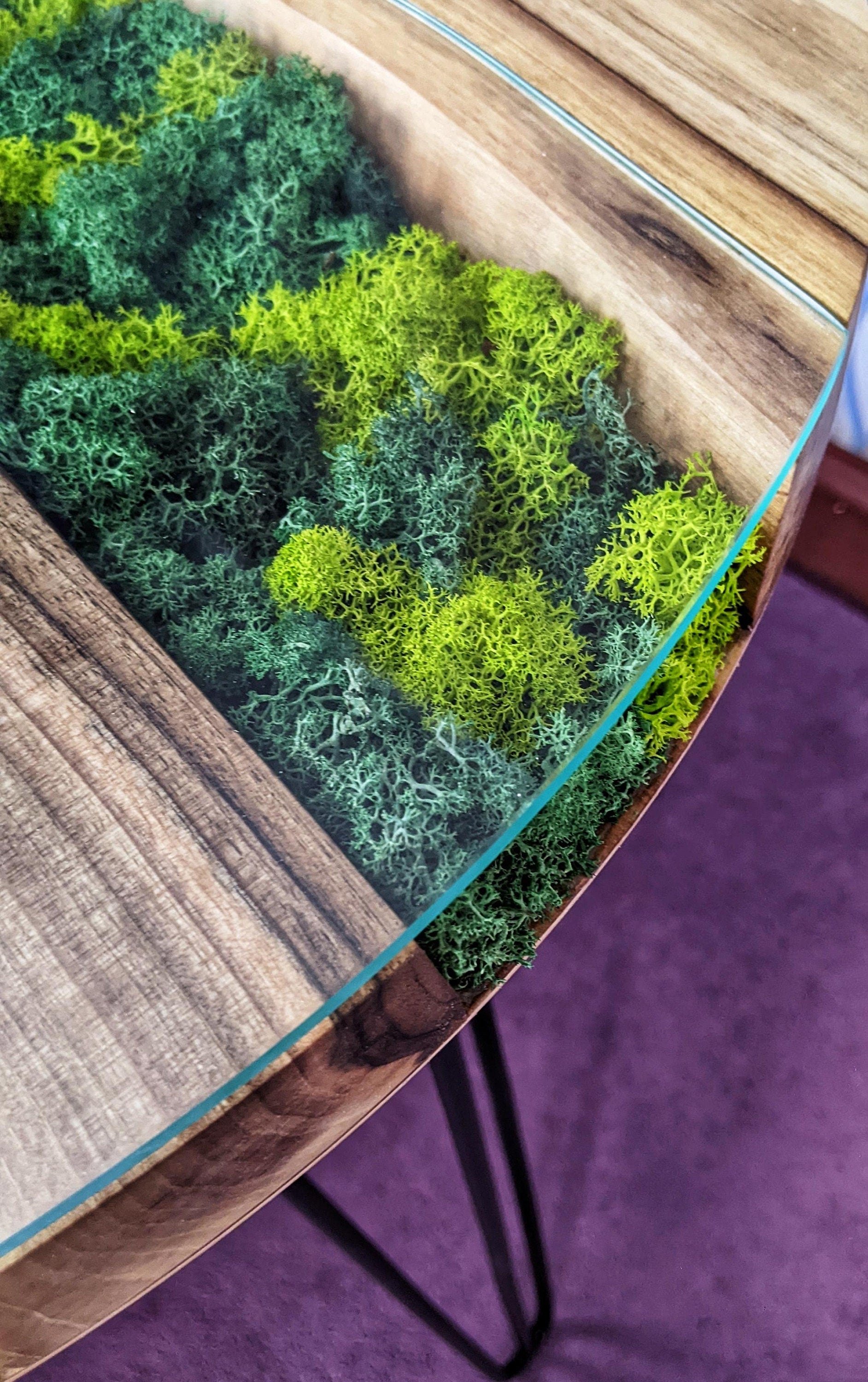 Walnut Coffee Table: Round Scandinavian Moss Table
