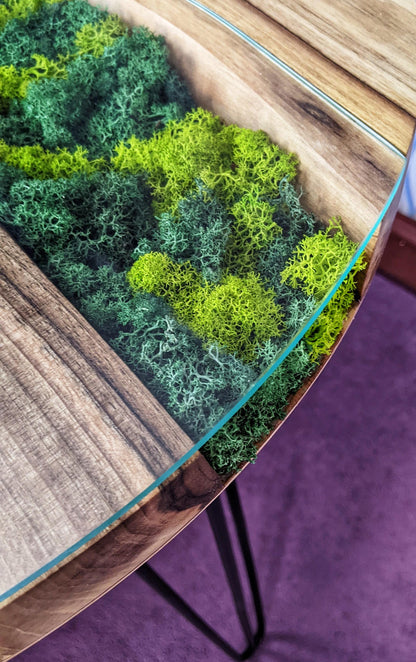 Walnut Coffee Table: Round Scandinavian Moss Table