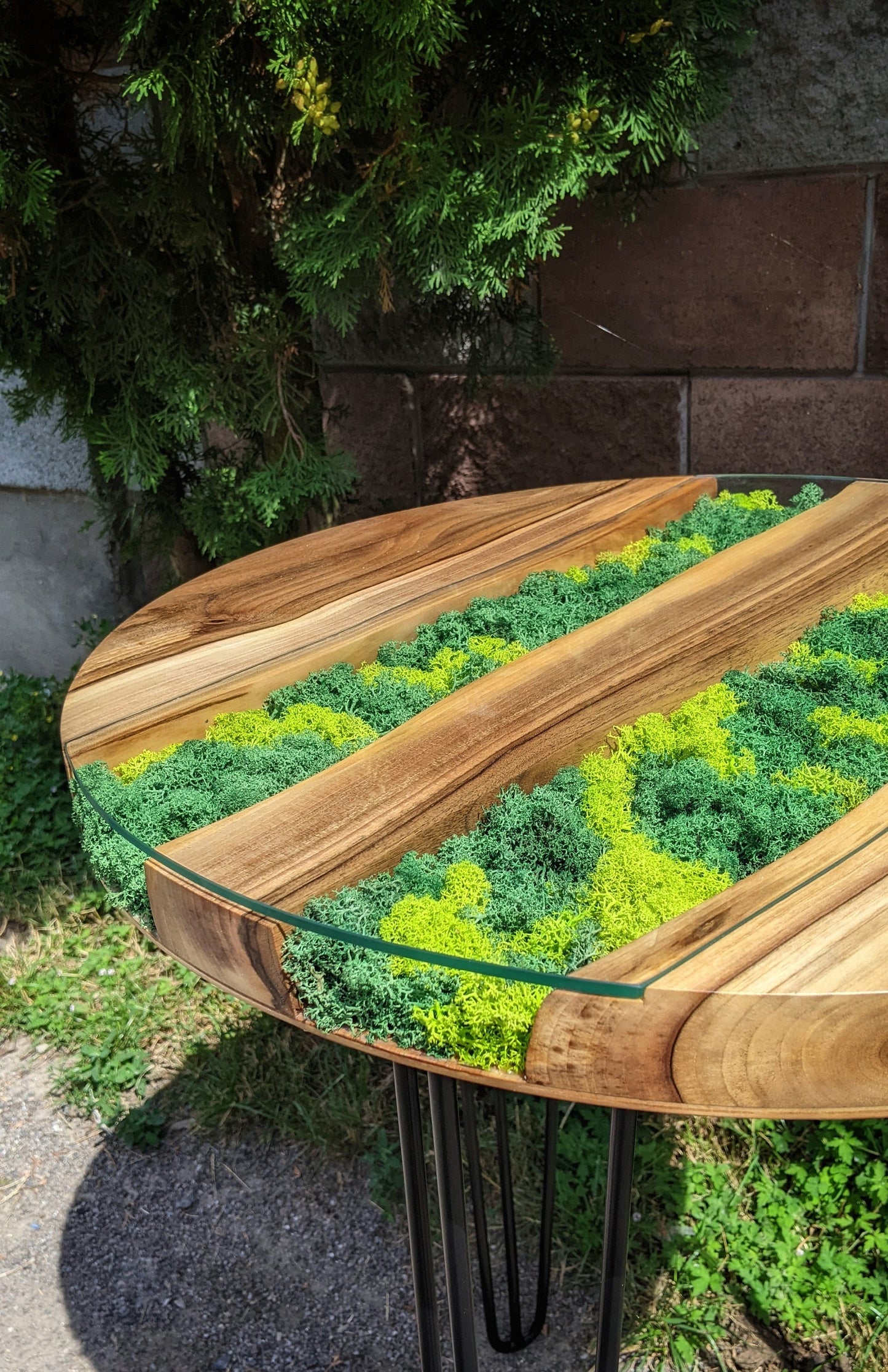 Walnut Coffee Table: Round Scandinavian Moss Table