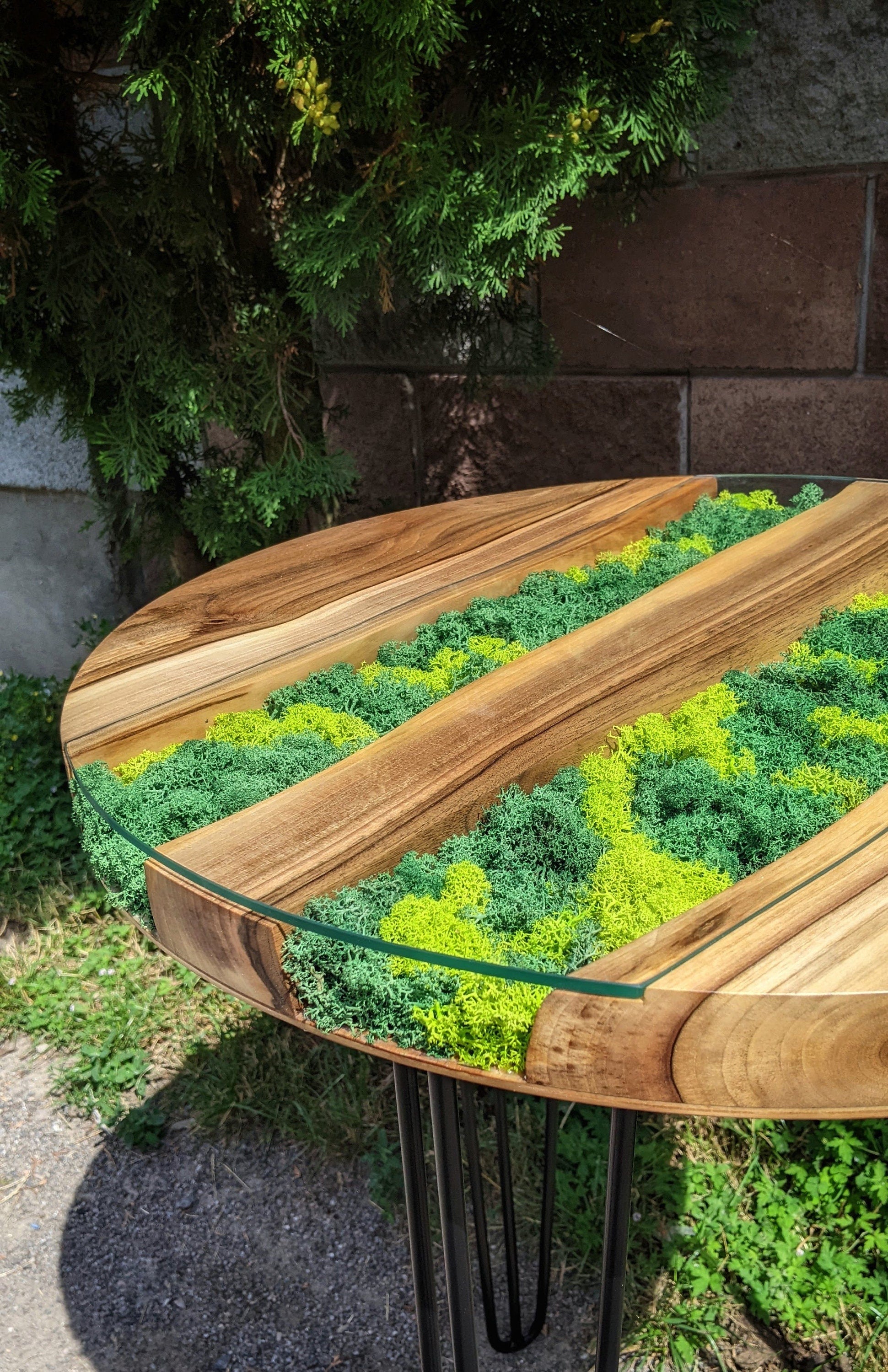 Walnut Coffee Table: Round Scandinavian Moss Table