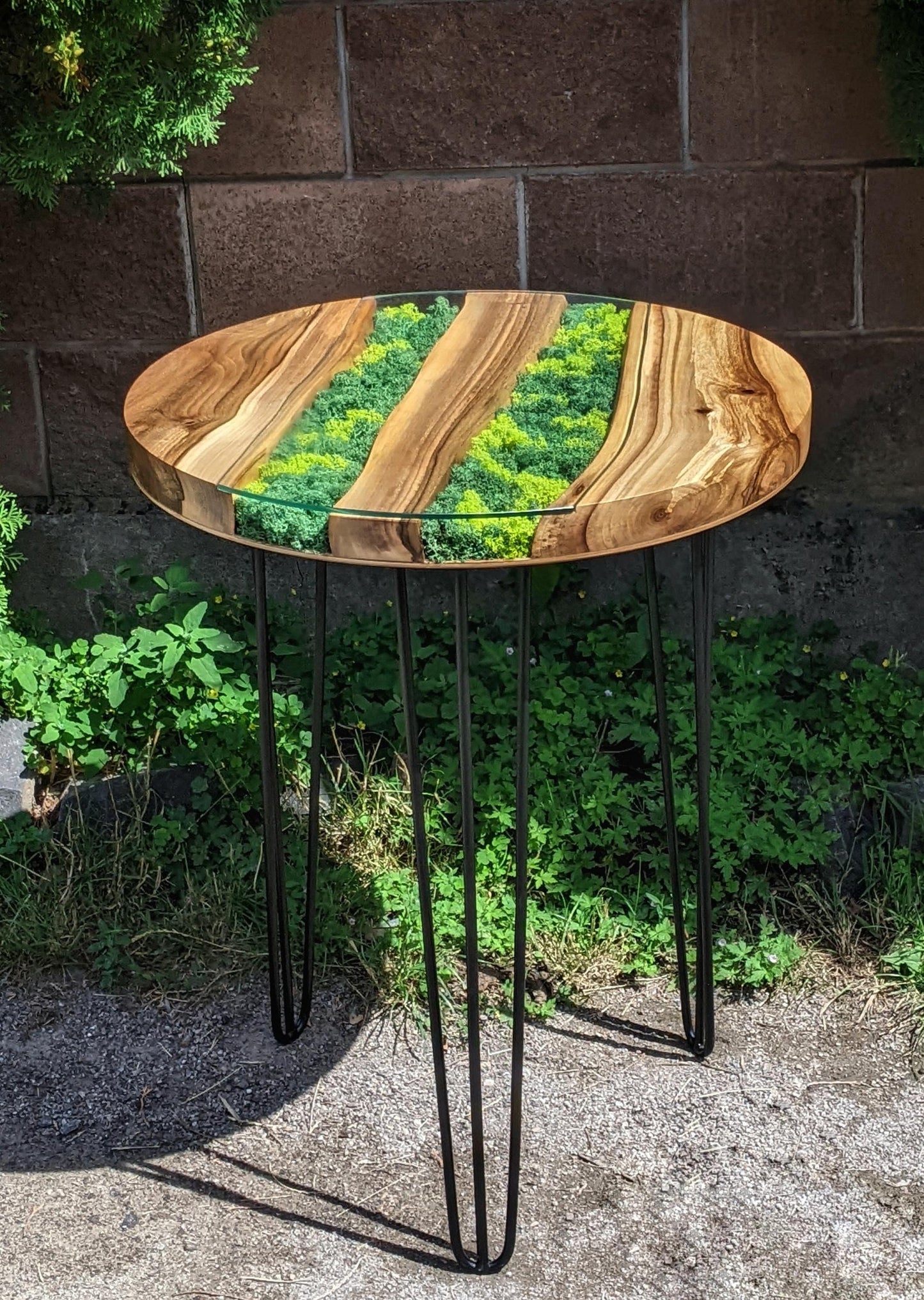 Walnut Coffee Table: Round Scandinavian Moss Table