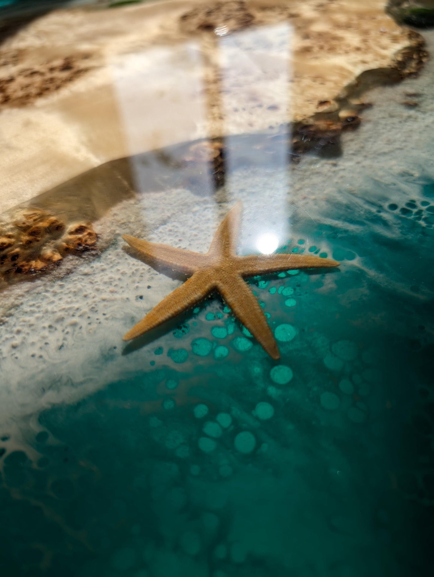 Resin Ocean Wave Coffee Table: Round Live Edge Epoxy Wood Table
